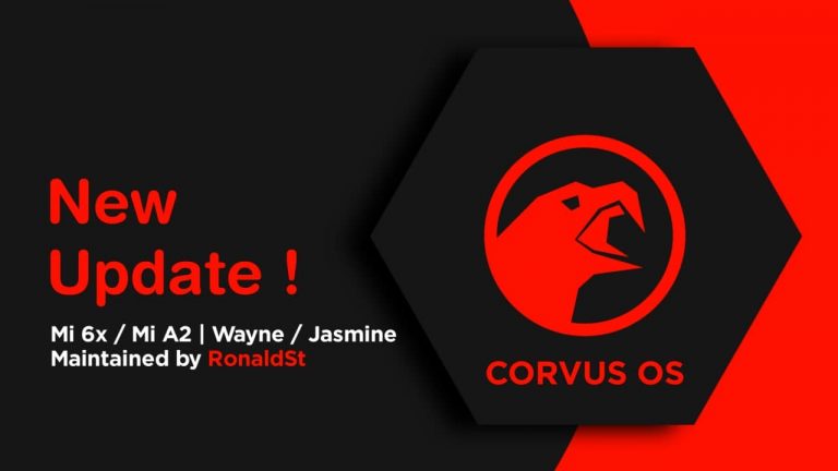 corvusos jasmine sprout